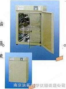 DNP-9022电热恒温培养箱