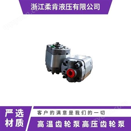 齿轮泵 流量29-126L 有 功率1.5kw 压力2.5Mpa 尺寸多