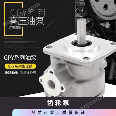 涌镇液压 齿轮泵GP10-1-R-K6F YZYY GP/GPY系列 高压齿轮油泵厂