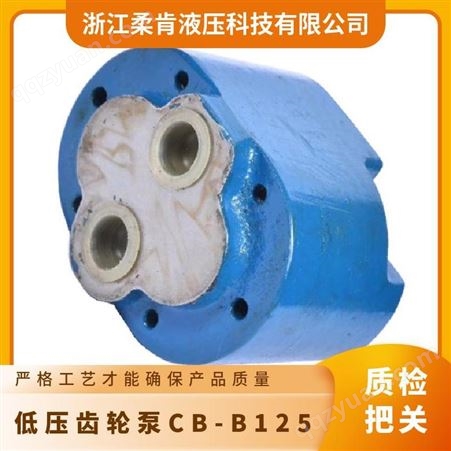 齿轮泵 低压齿轮油泵 CB-B125 可定制 型号齐 工厂
