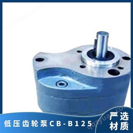 齿轮泵 低压齿轮油泵 CB-B125 可定制 型号齐 工厂