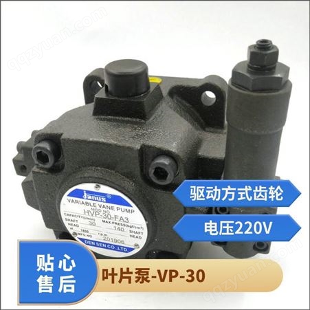 液压油泵 变量叶片泵 VP-30 规格齐全 可定制 艾顿 柔肯